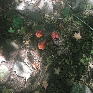 Meet your Posher, Nadine